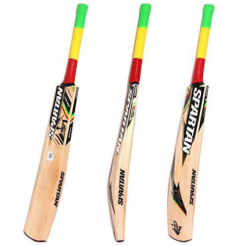 All Colors Spartan English Kashmir Willow Long Handle Cricket Bats