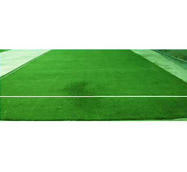 Synthetic Pitch