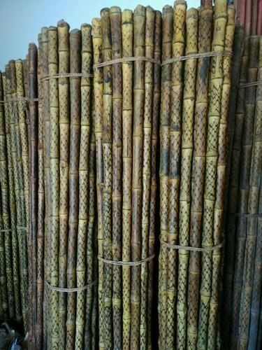 Bamboo Cane