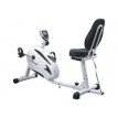 Recumbent Bike 001R